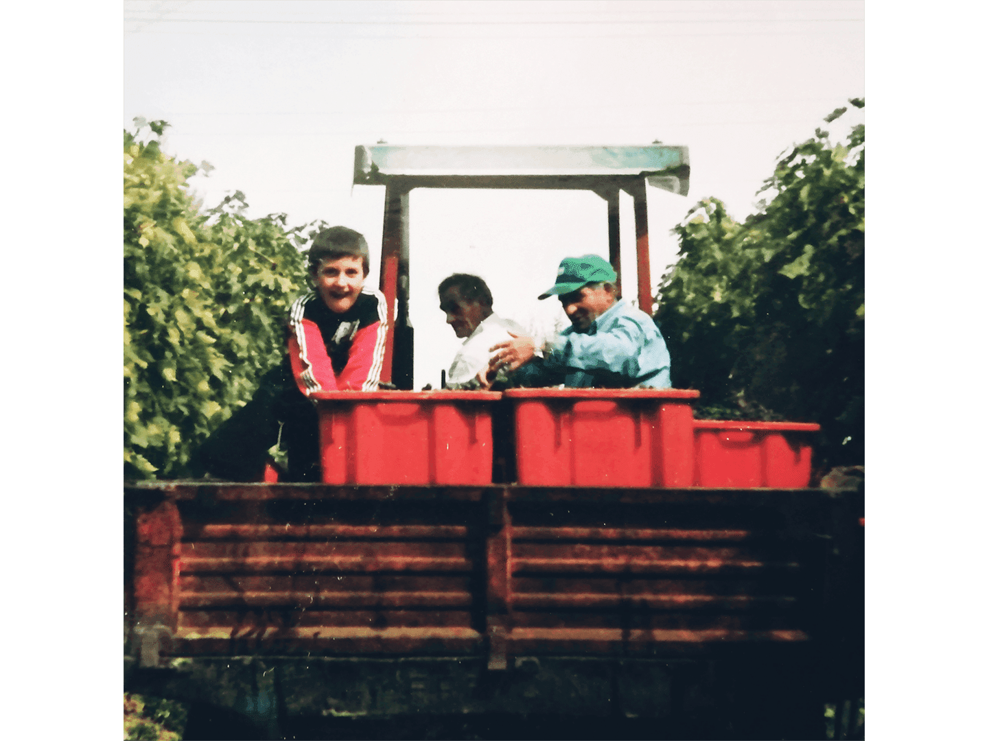 …I Fratelli Rossi sono nati e cresciuti tra le viti, hanno respirato il profumo della cantina da quando hanno cominciato a camminare. E poi, s’intende, quando sono cresciuti, il profumo del vino: che qui a Gaiole, nel cuore del Chianti classico, è rigorosamente rosso. Nella loro cantina, rigorosamente Sangiovese…